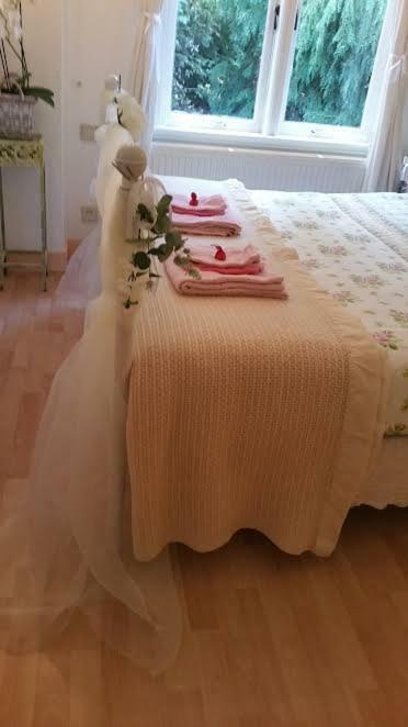 B&B Romantic Rooms Central Haarlem Bagian luar foto